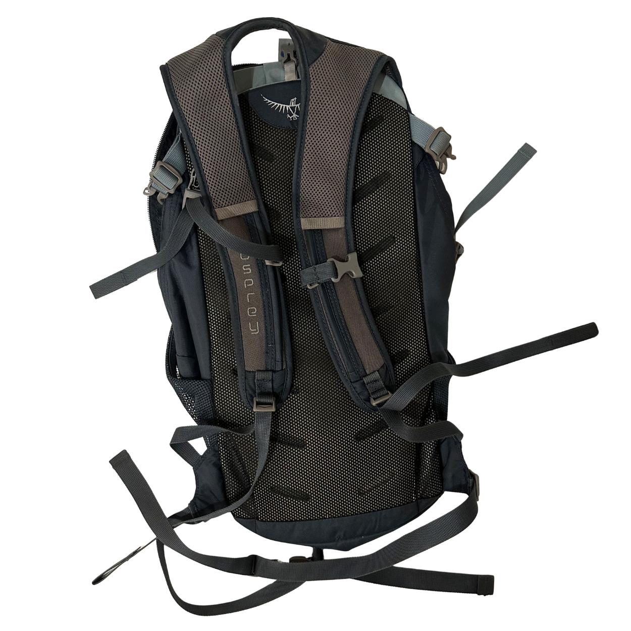 Osprey Daylite Everyday Back Pack